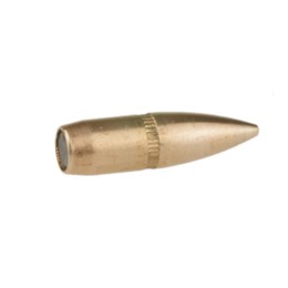 Speer .224" 62 grs FMJ BT 100 szt.